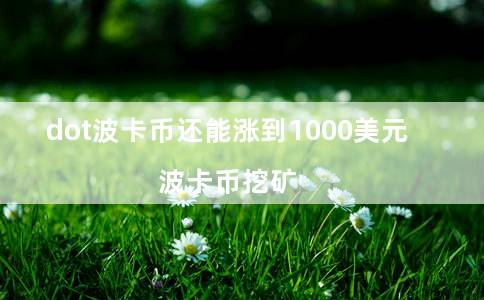 dot波卡币还能涨到1000美元（波卡币挖矿）