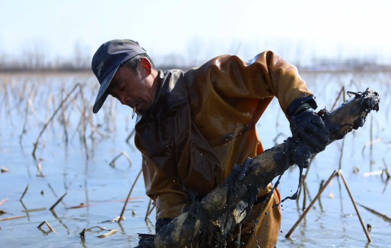 投资10元一小时赚500赚钱（微信投资10元一小时赚500）