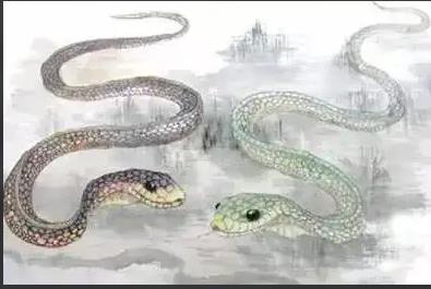 属蛇的命苦吗(属蛇人都是什么命)插图 属蛇的命苦吗(属蛇人都是什么命)