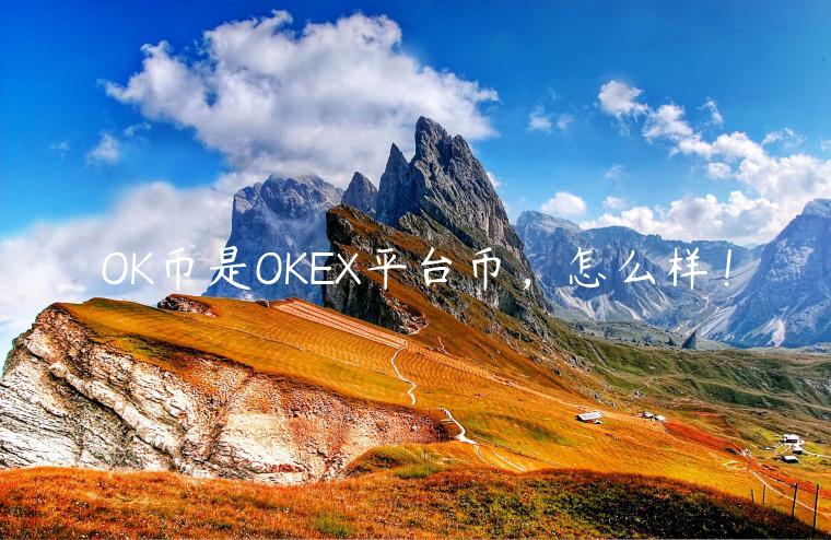 OK币是OKEX平台币，怎么样！