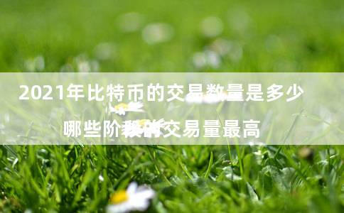 2021年比特币的交易数量是多少（哪些阶段的交易量最高）