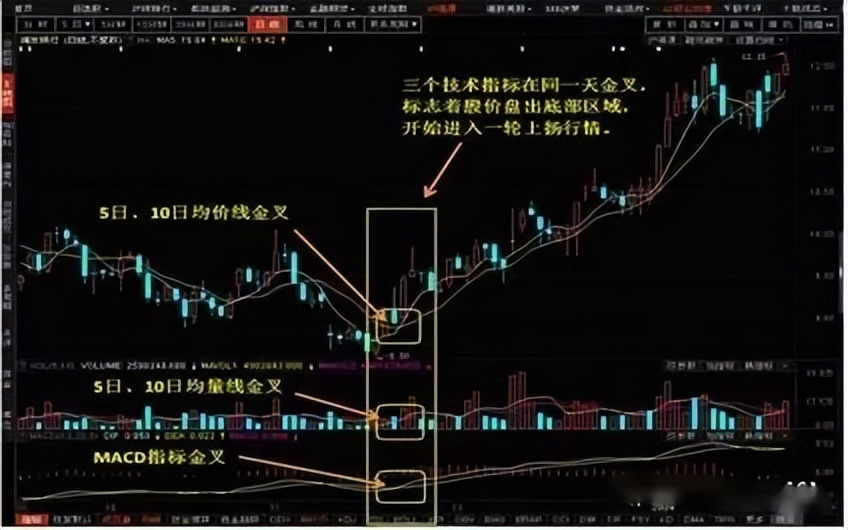 狙击涨停板(狙击涨停板 电子书)8