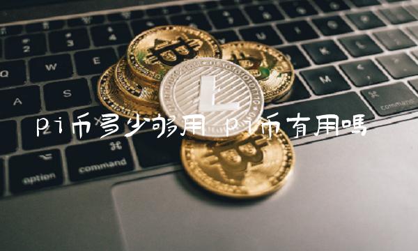 pi币多少够用 pi币有用吗