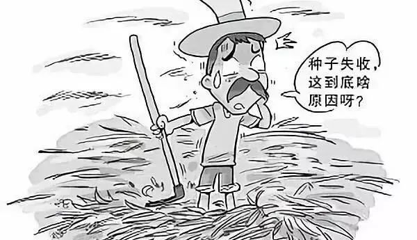 玉米传媒官方网站（玉米文化传媒有限公司）3