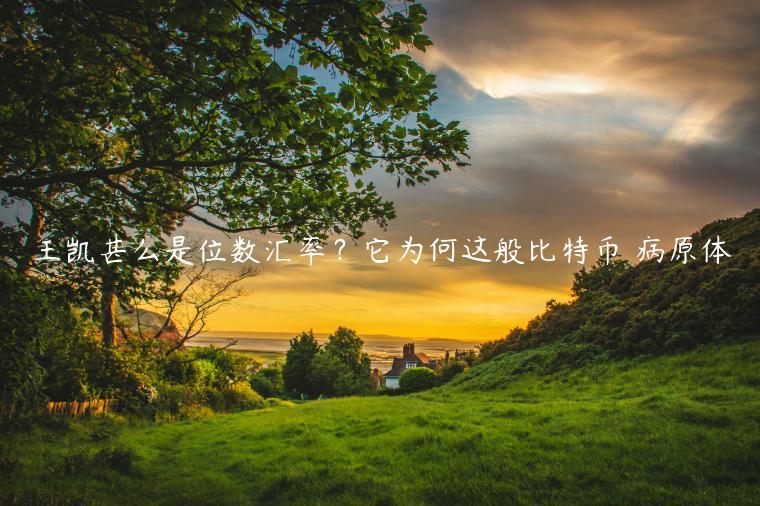 王凯甚么是位数汇率？它为何这般比特币 病原体