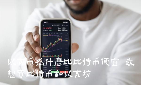 以太币为什么比比特币便宜 我想买比特币和以太坊