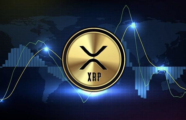 下一个牛市会暴涨的币(币圈牛市结束了吗)