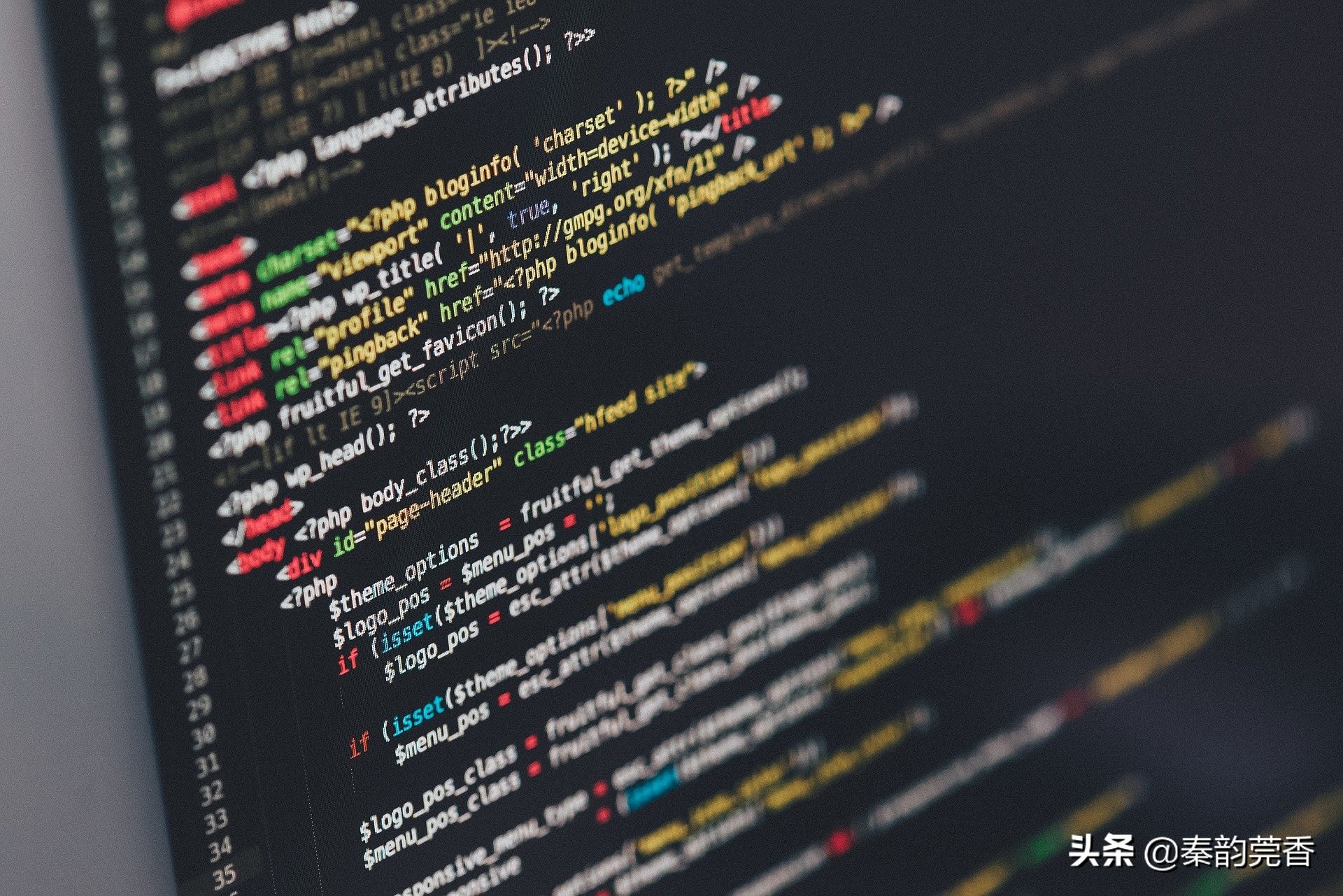 什么是字节(什么是字节跳动)