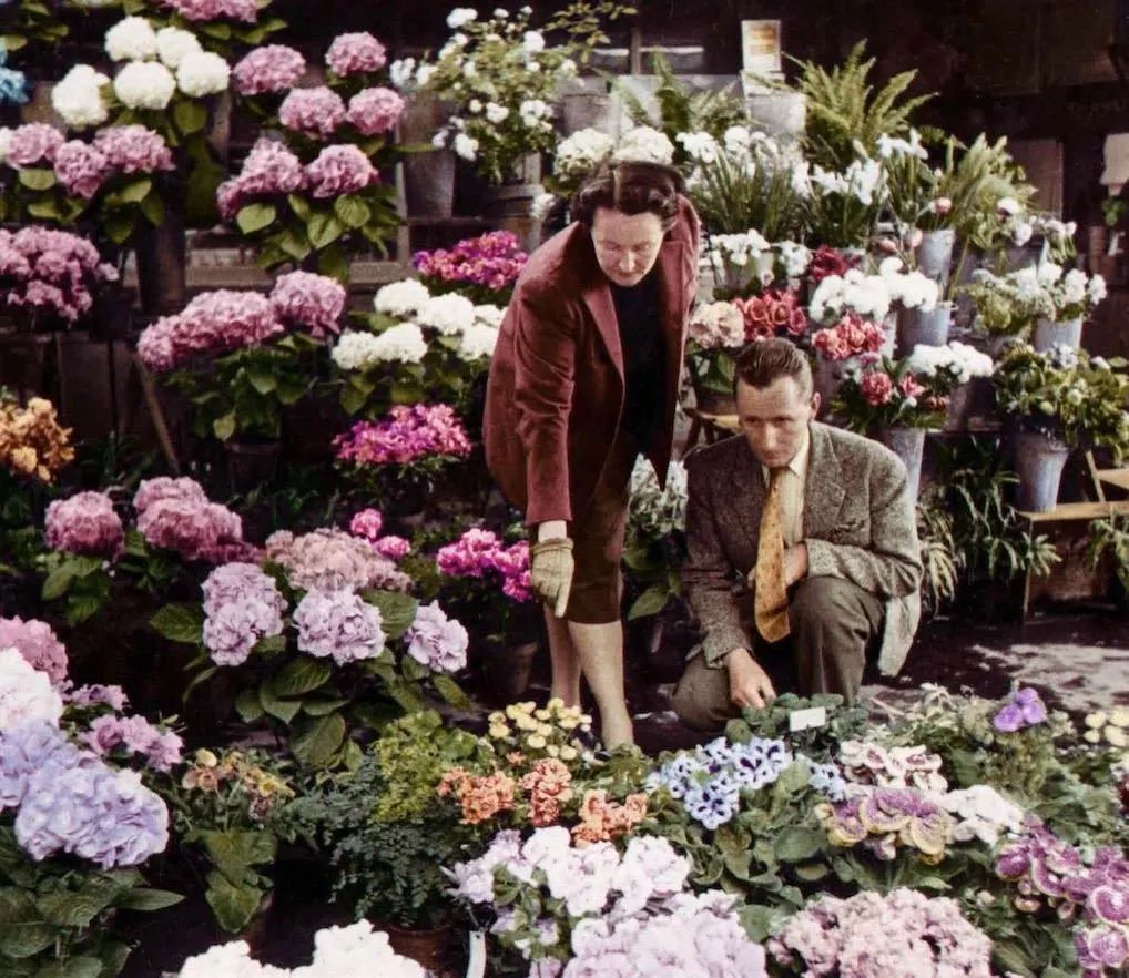 bags币(bags币价格今日行情)