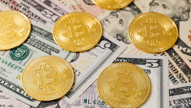 狗狗币的最新价格是多少(狗狗币的最新价格行情)