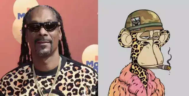 2022年购入无聊猿和Punk的名人们 如今「损失惨重」4