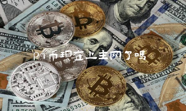 pi币现在上主网了吗