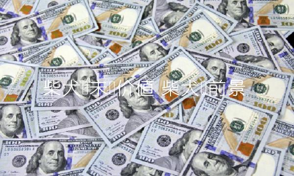 柴犬币未来价值 柴犬币前景