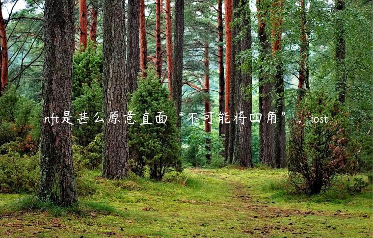 nft是甚么原意直面“不可能将四角”，iost