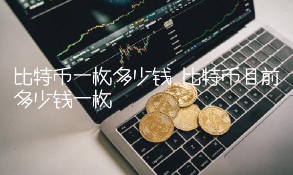 比特币一枚多少钱 比特币目前多少钱一枚