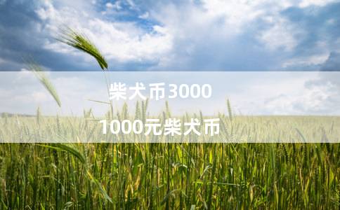 柴犬币3000（1000元柴犬币）