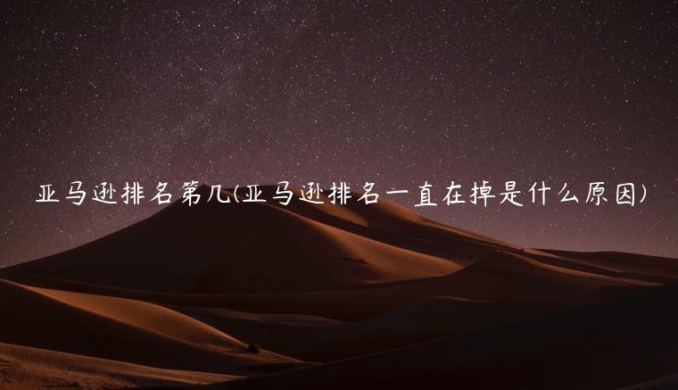 亚马逊排名第几(亚马逊排名一直在掉是什么原因)
