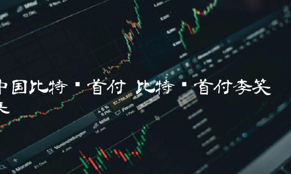中国比特币首付 比特币首付李笑来