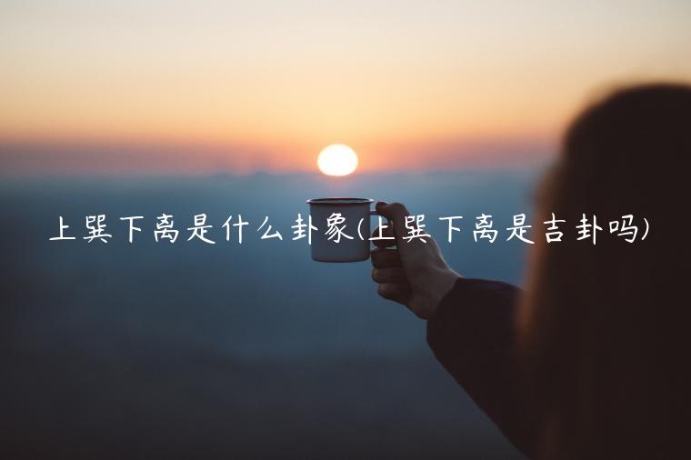 上巽下离是什么卦象(上巽下离是吉卦吗)