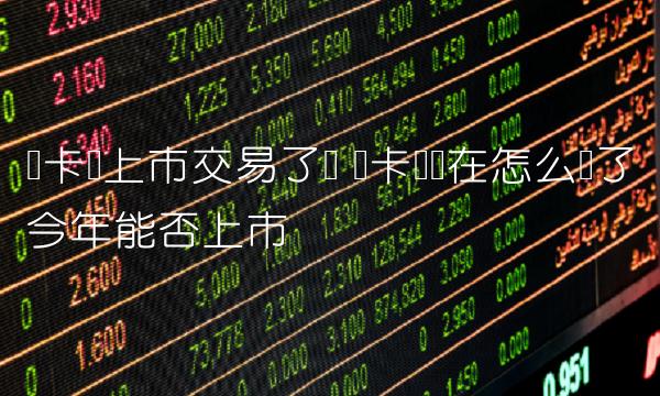维卡币上市交易了吗 维卡币现在怎么样了今年能否上市