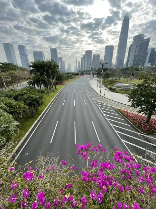 保罗克鲁格曼(国际经济学保罗克鲁格曼)