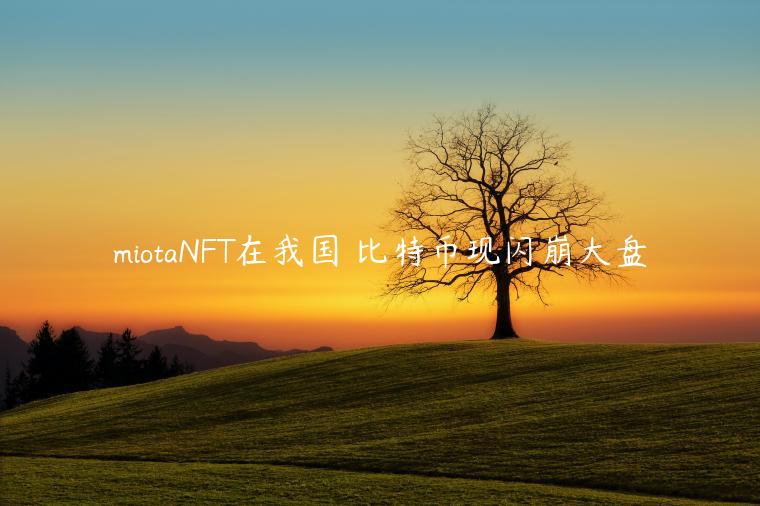 miotaNFT在我国 比特币现闪崩大盘