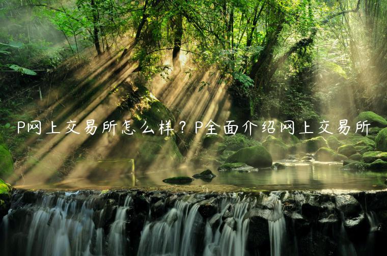 P网上交易所怎么样？P全面介绍网上交易所