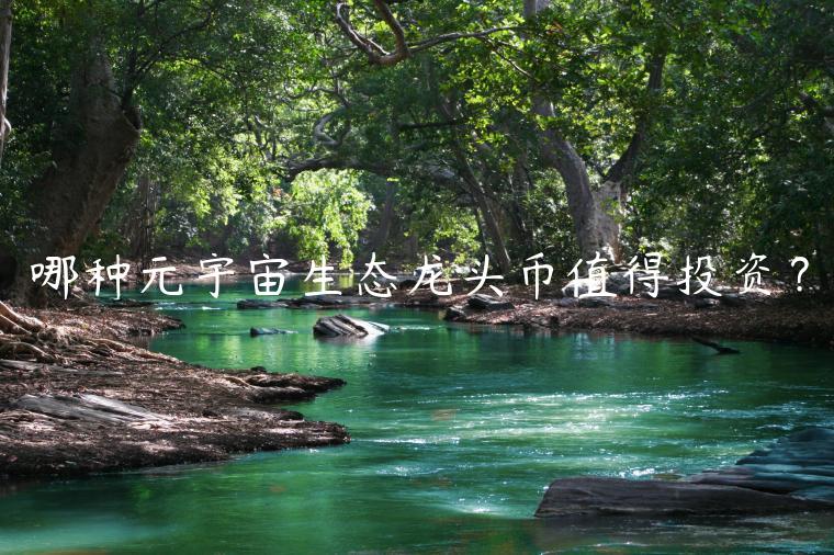 哪种元宇宙生态龙头币值得投资？