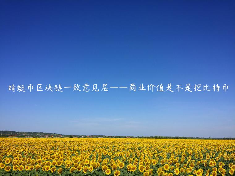 蜻蜓币区块链一致意见层——商业价值是不是挖比特币插图 蜻蜓币区块链一致意见层——商业价值是不是挖比特币