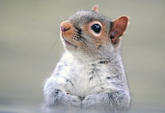 基金怎么可以赚钱（基金怎样赚钱）3