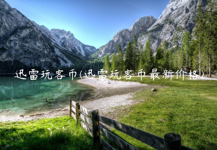 迅雷玩客币(迅雷玩客币最新价格)