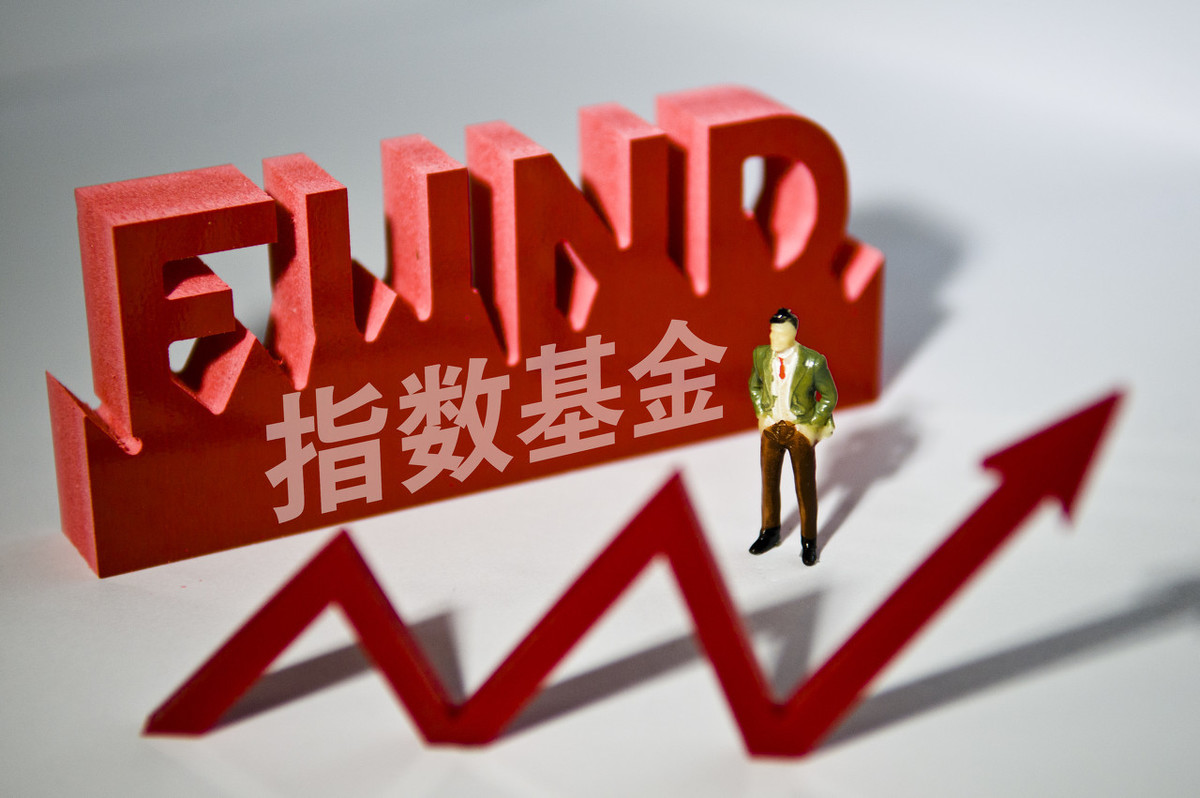 窄基指数基金是什么意思（窄指数基金是指什么）