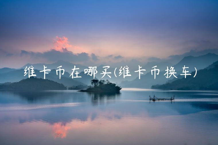 维卡币在哪买(维卡币换车)