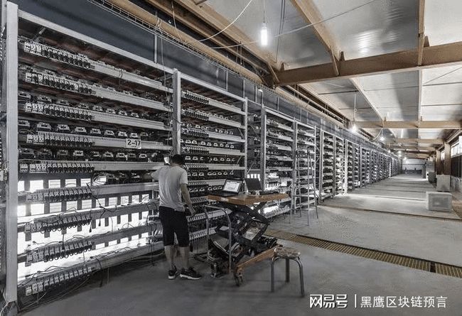 v币官网(v币是什么平台软件)3 v币官网(v币是什么平台软件)3