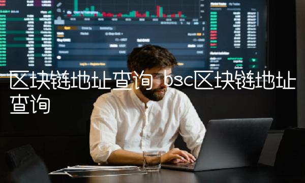bsc区块链地址查询