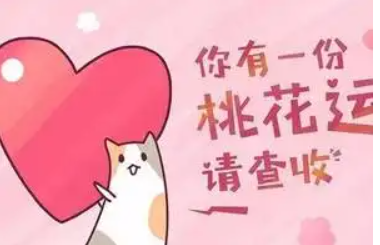 桃花八字(桃花运好的特征)