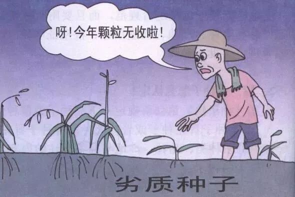 玉米传媒官方网站（玉米文化传媒有限公司）2