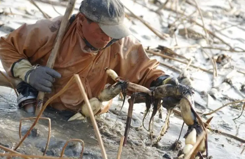 投资10元一小时赚500赚钱（微信投资10元一小时赚500）