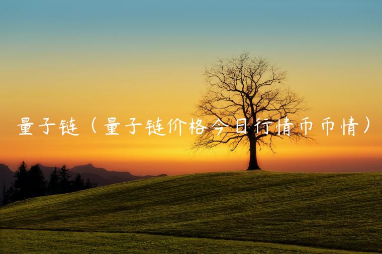 量子链（量子链价格今日行情币币情）