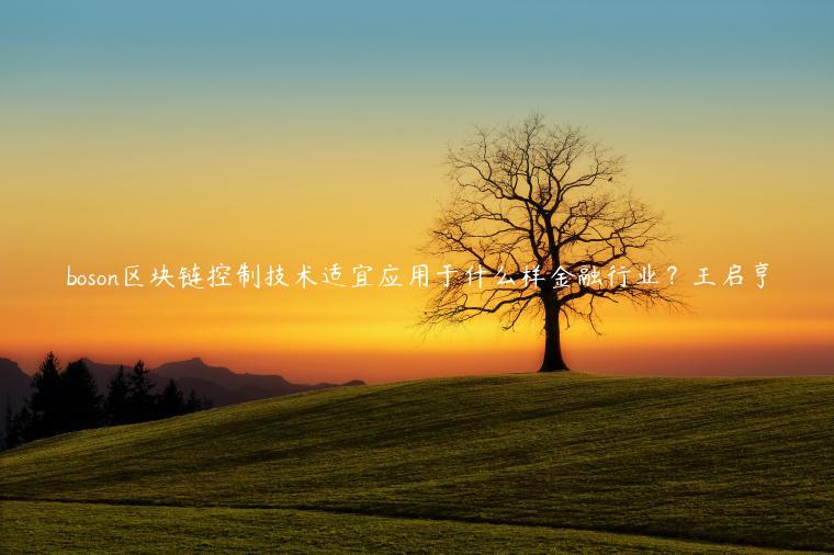 boson区块链控制技术适宜应用于什么样金融行业？王启亨