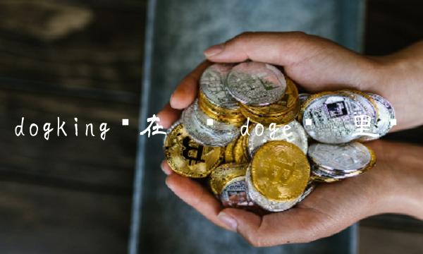 dogking币在哪买 doge币哪里买