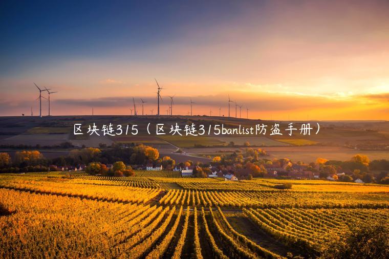 区块链315（区块链315banlist防盗手册）