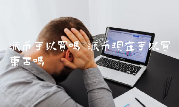 派币可以买吗 派币现在可以买东西吗