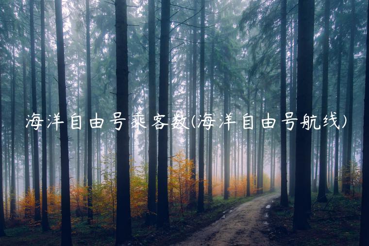 海洋自由号乘客数(海洋自由号航线)插图 海洋自由号乘客数(海洋自由号航线)