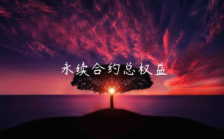 永续合约总权益