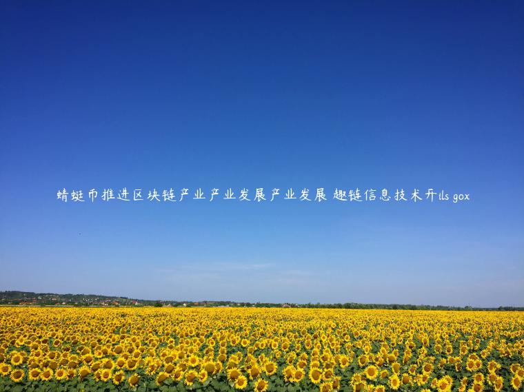 蜻蜓币推进区块链产业产业发展产业发展 趣链信息技术开ils gox插图 蜻蜓币推进区块链产业产业发展产业发展 趣链信息技术开ils gox