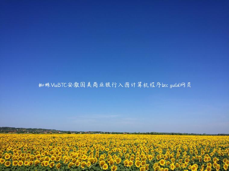 蜘蛛ViaBTC安徽国美商业银行入围计算机程序btc guild网页