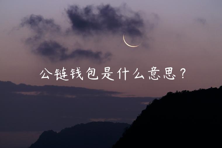 公链钱包是什么意思？
