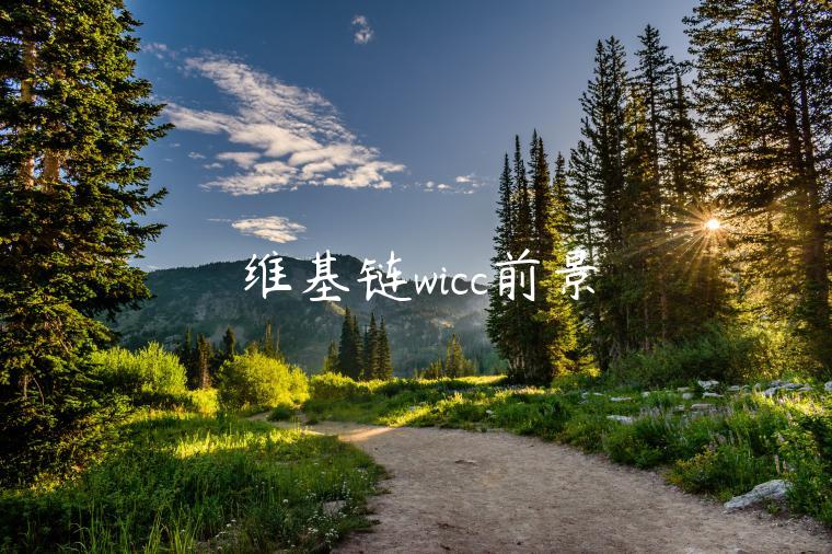 维基链wicc前景