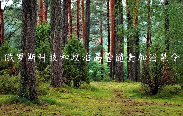 俄罗斯科技和政治高管谴责加密禁令插图 俄罗斯科技和政治高管谴责加密禁令